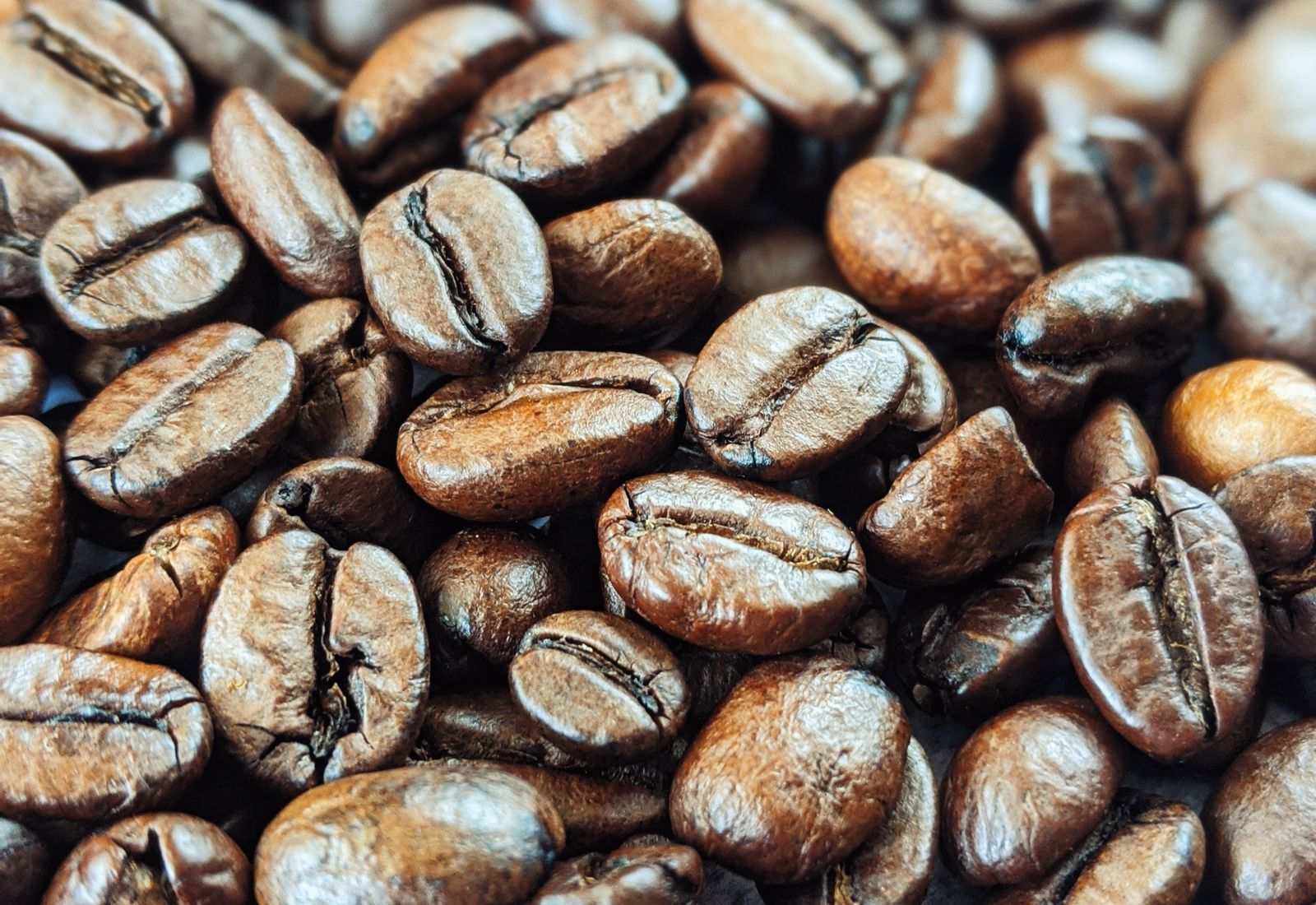 Freshly roasted coffee beans