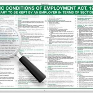 Basic Conditions of Employment Act