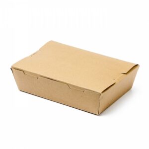 Doggy Carton Take Away Box Kraft