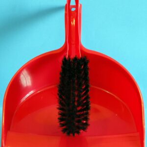 Brush and Scoop Red