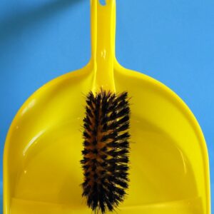 Brush and Scoop Yellow